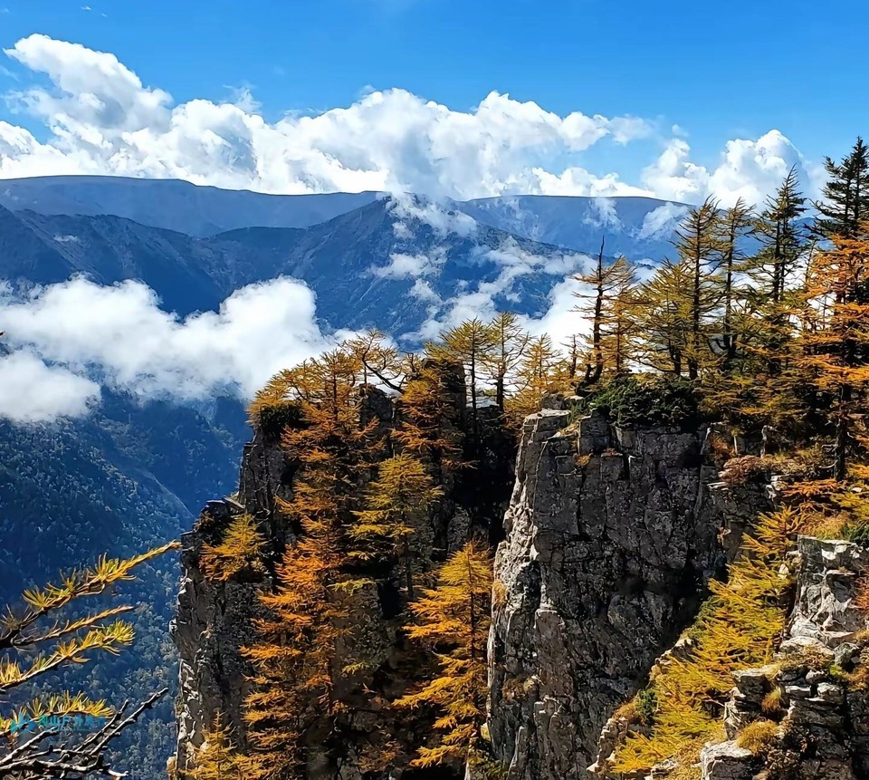 微信截图_20240903235652