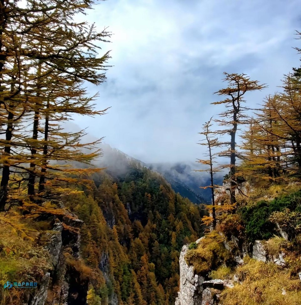 微信截图_20240903235714