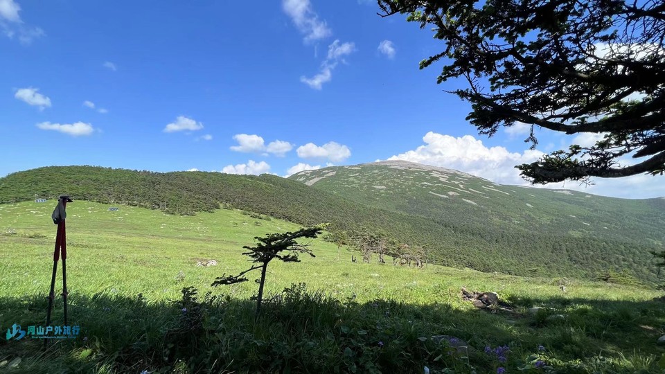 mmexport1718417060784