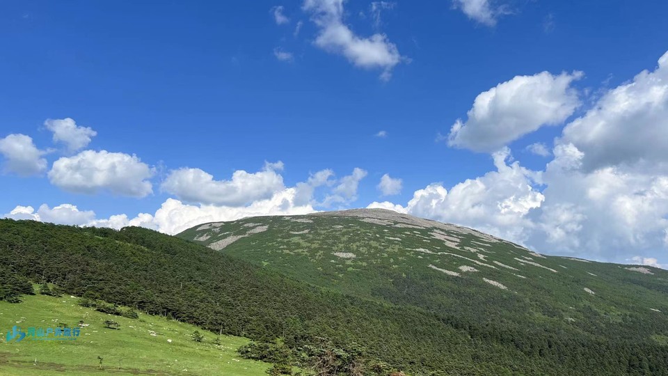 mmexport1718417063657