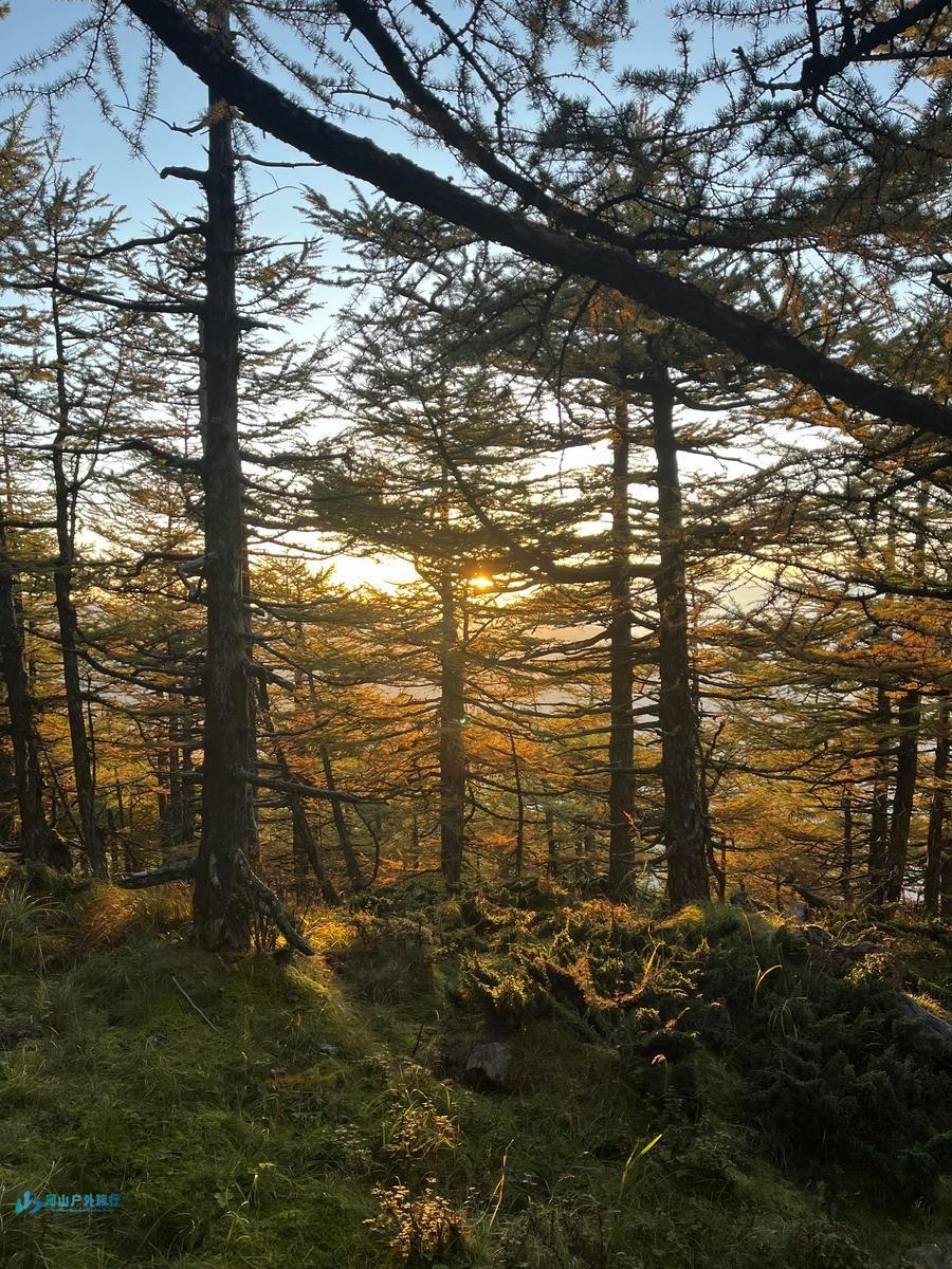 mmexport1728113697610