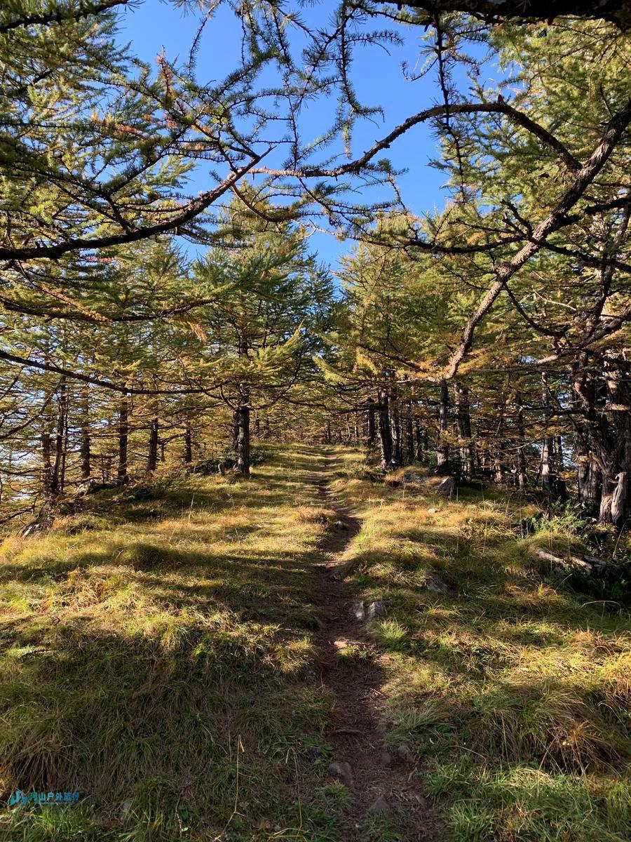 mmexport1728113719020