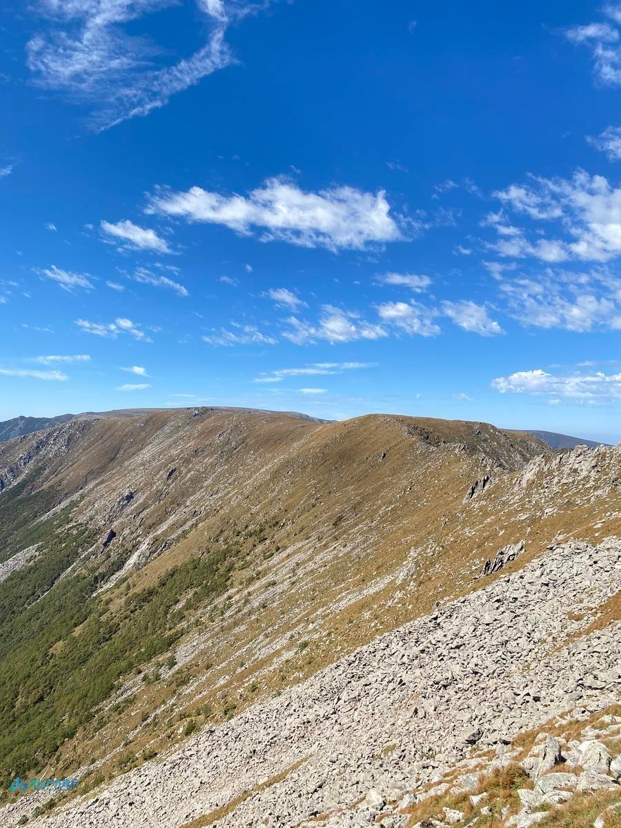 mmexport1728114192026