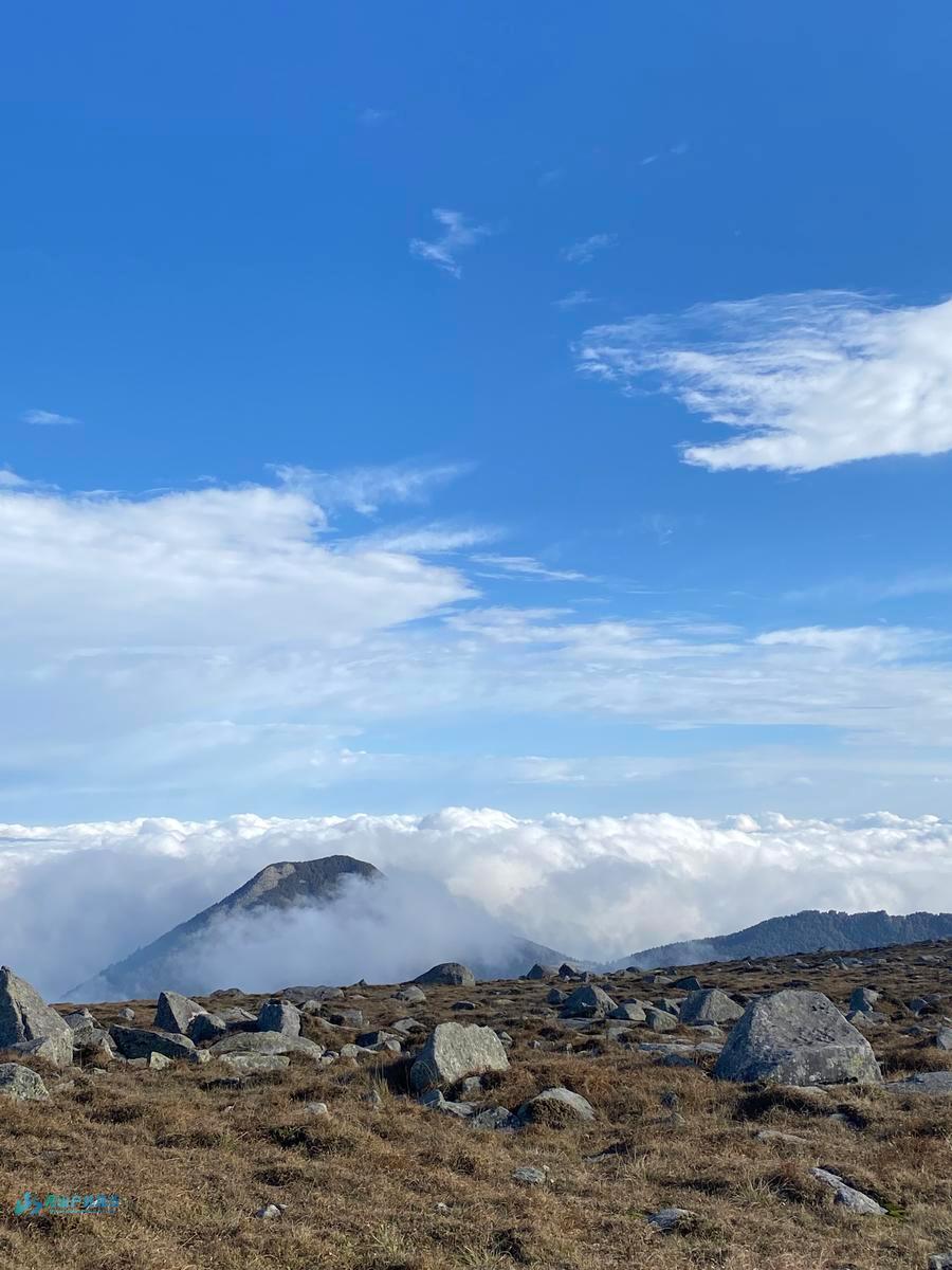 mmexport1728114404818