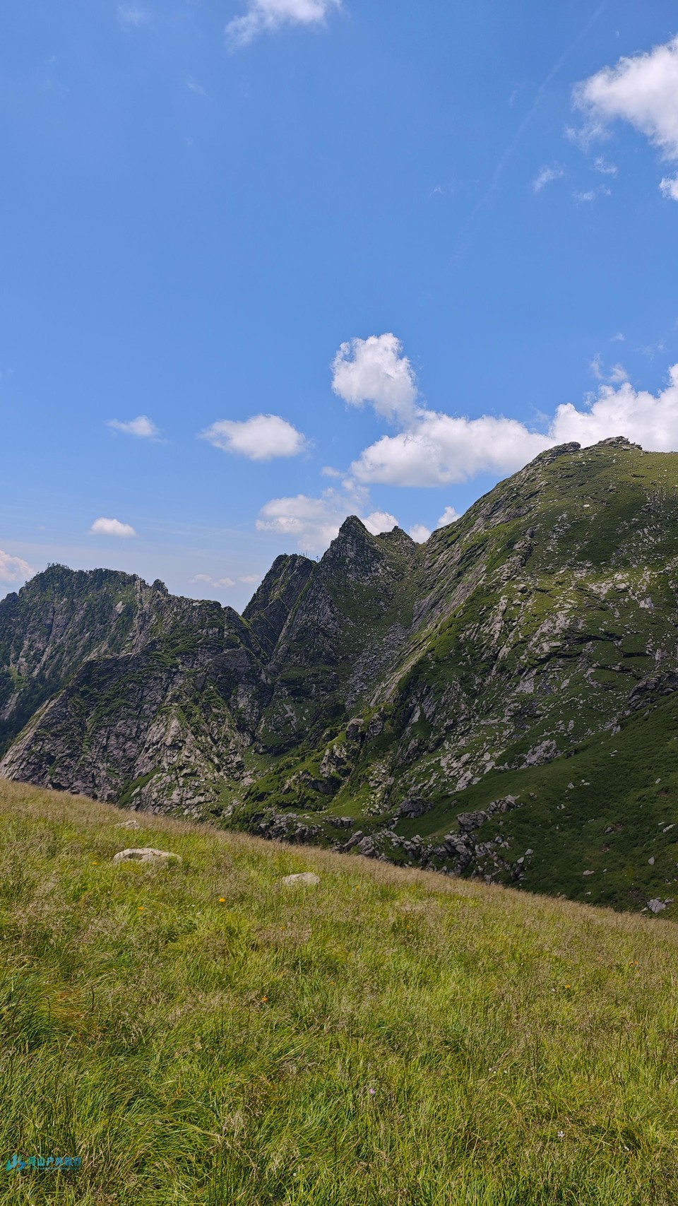 微信图片_20240721125041