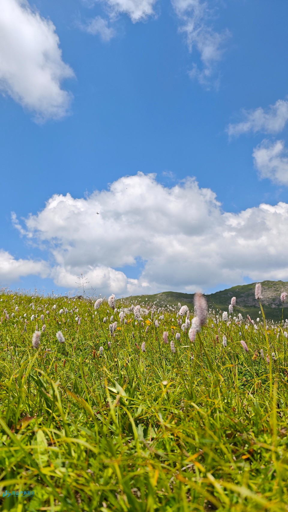 微信图片_20240721125158