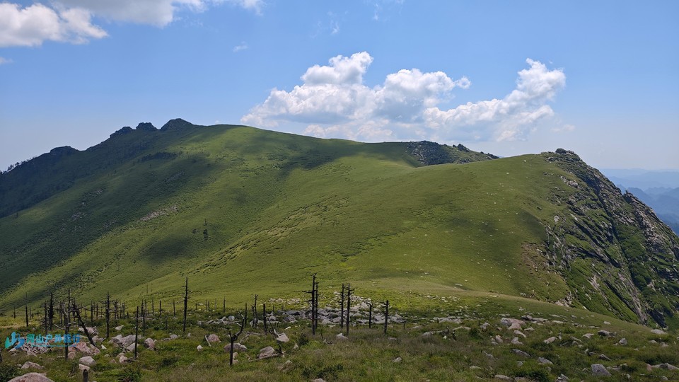 微信图片_20240721125213