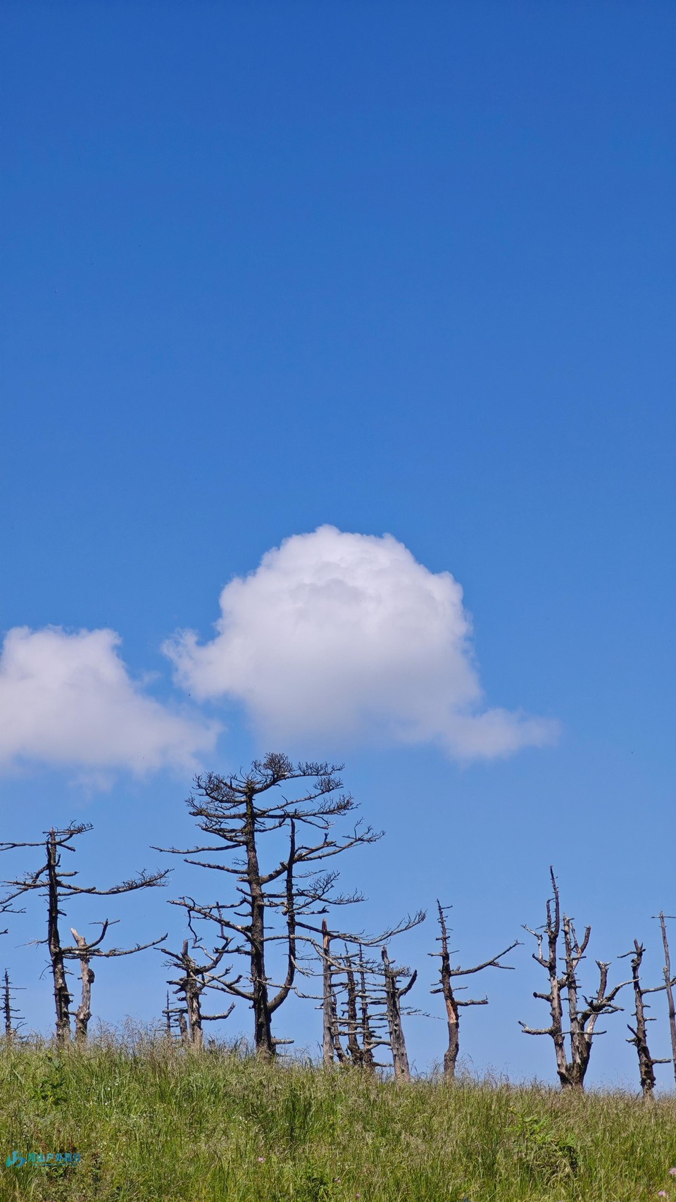 微信图片_20240721125228