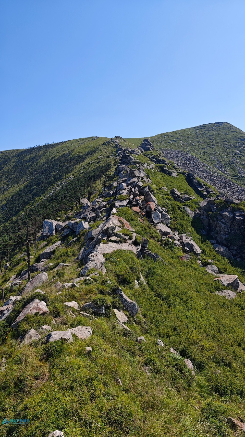 微信图片_20240721125247