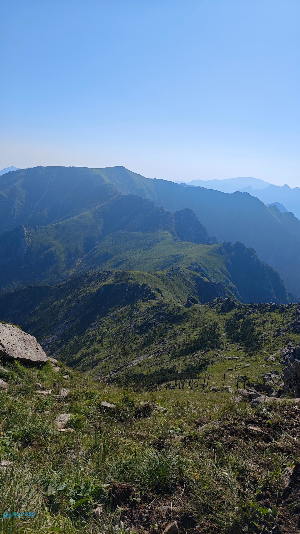 微信图片_20240721125255