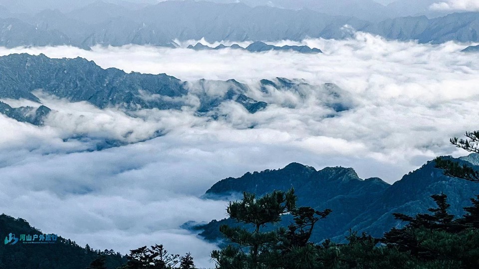 mmexport1718150655636