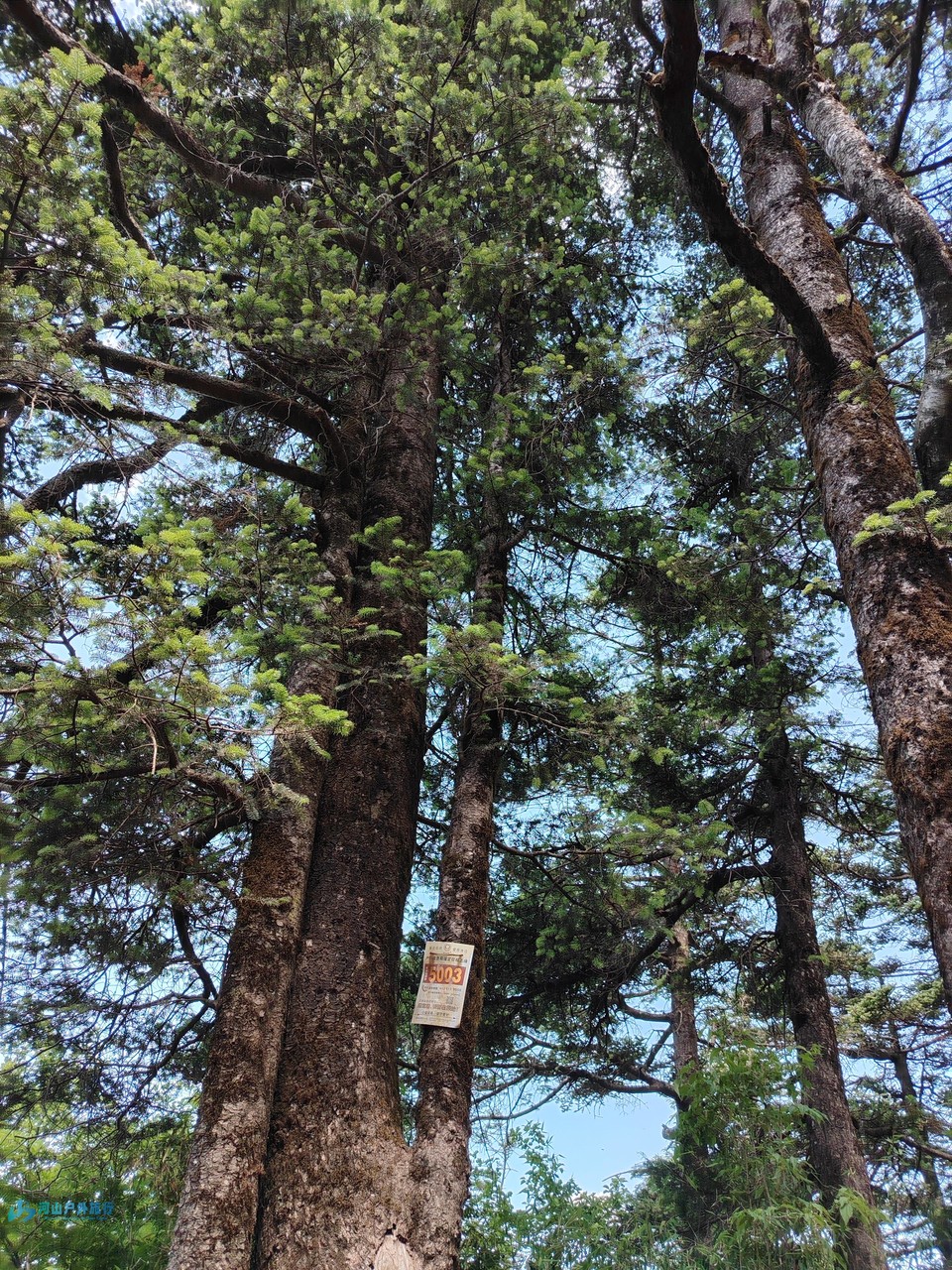 mmexport1718465675039