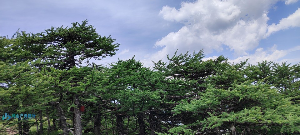 mmexport1718466360586