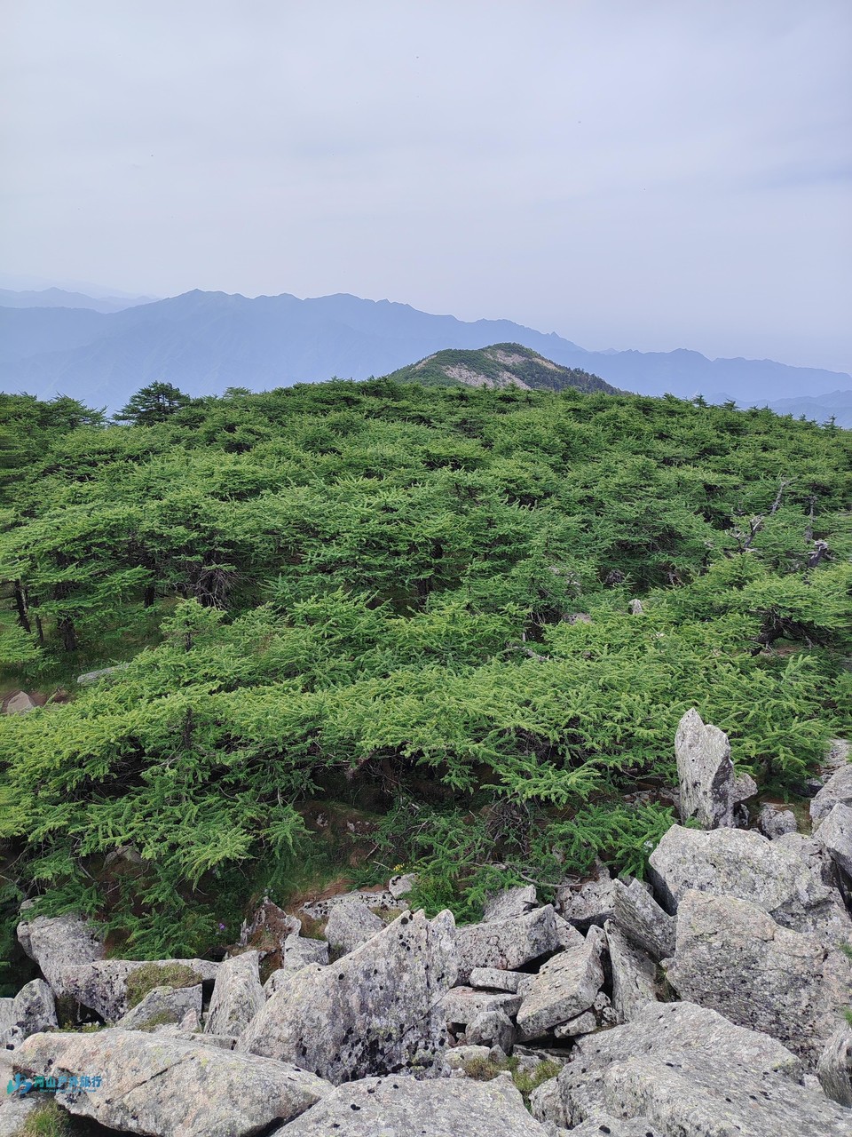 mmexport1718466391278