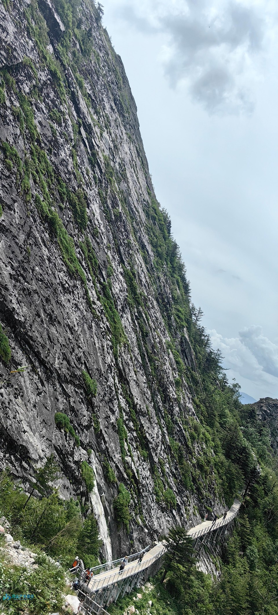 mmexport1718468876220