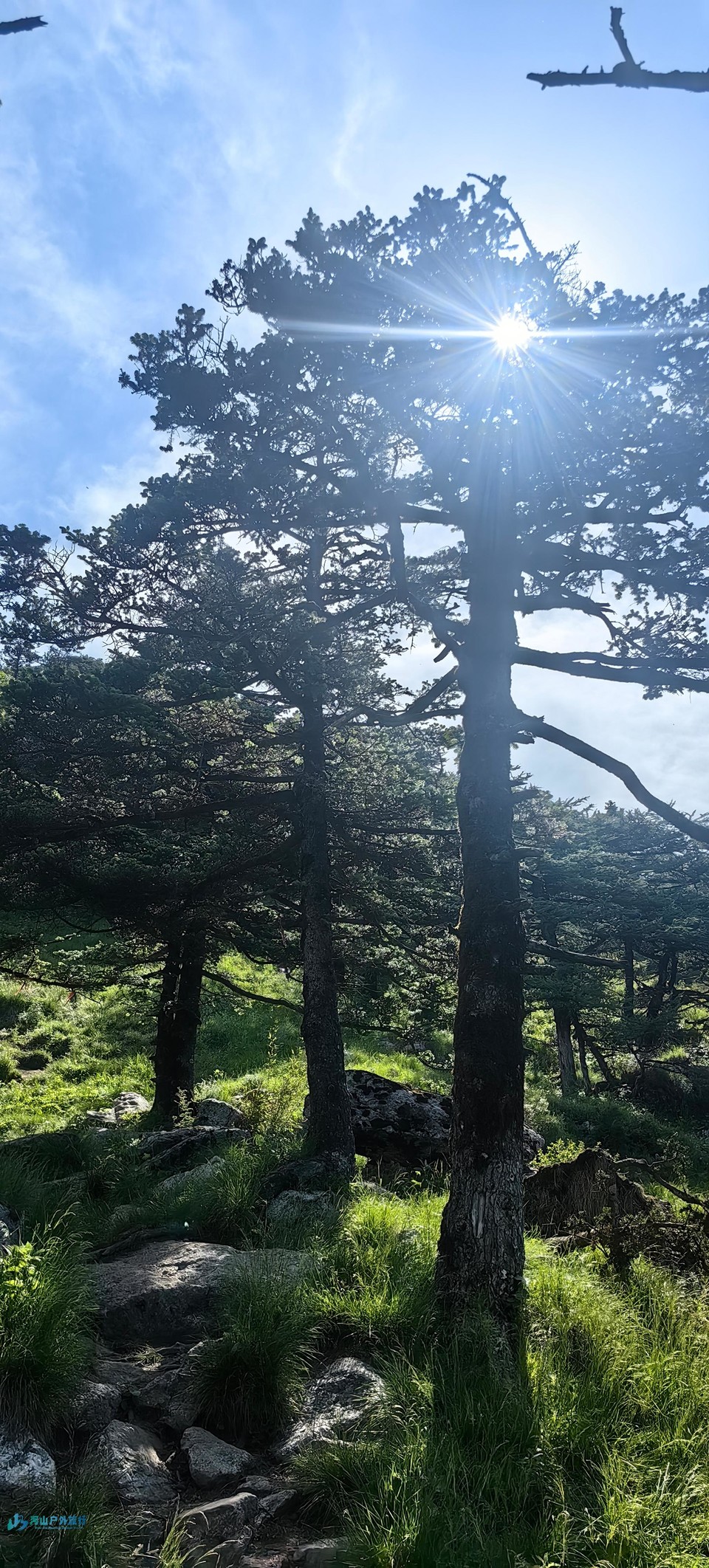 mmexport1718468896542