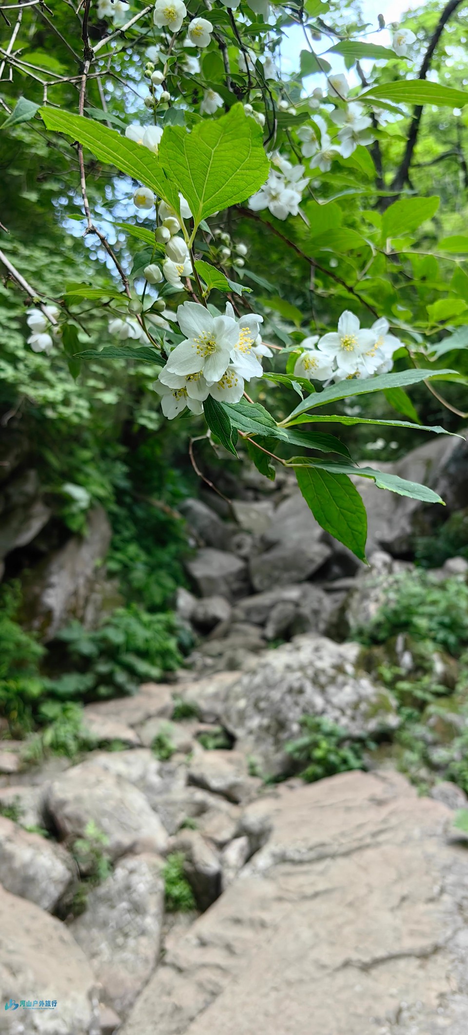 mmexport1718468908121