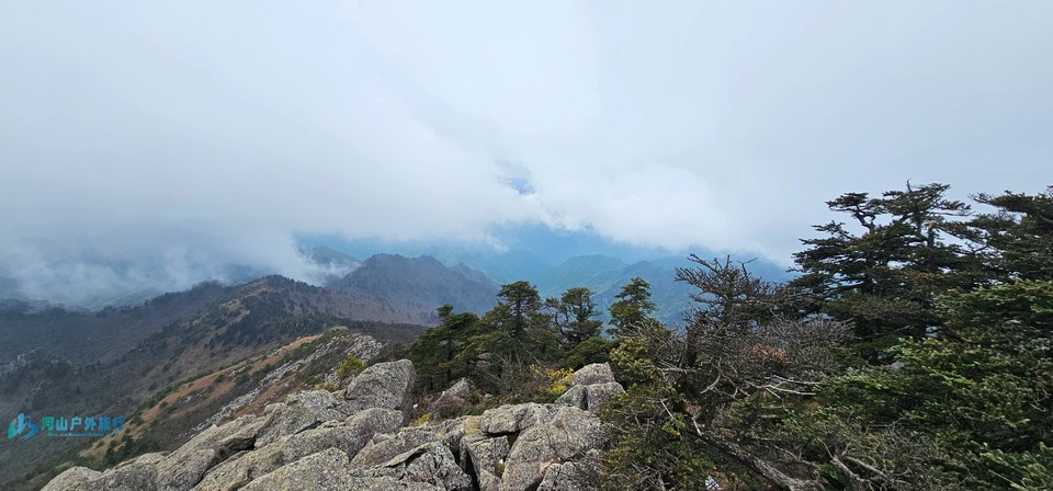 微信图片_20240602160332