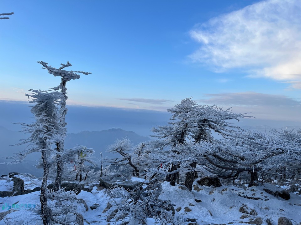 mmexport1705842038245