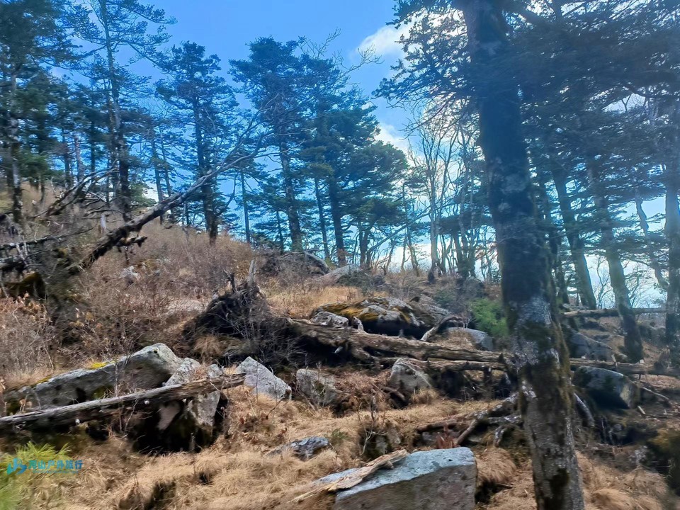 微信图片_20240403145252