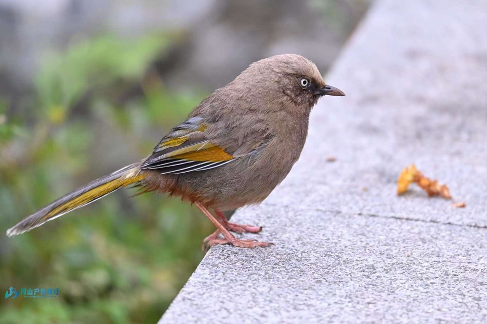 mmexport1723722493528