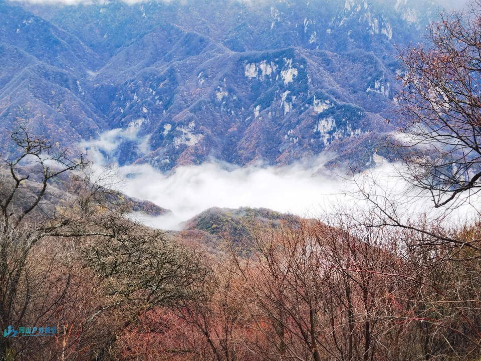 mmexport1725351517684