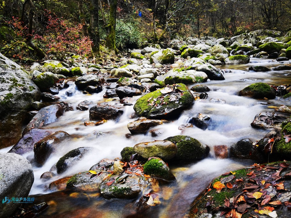 mmexport1725351524934