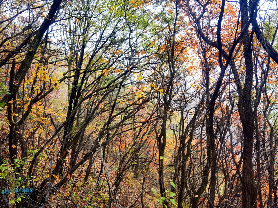 mmexport1725351527366