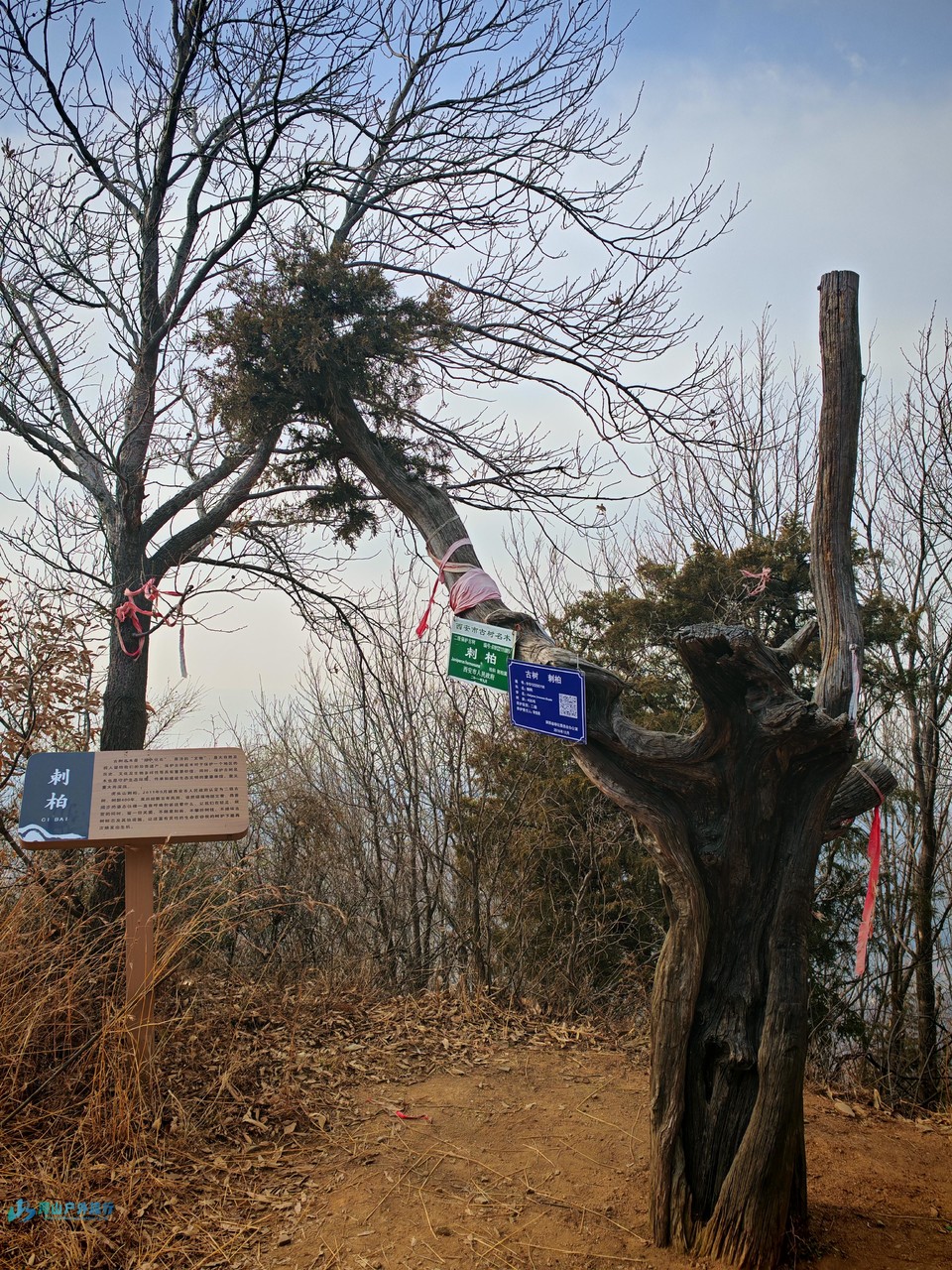 wAkdUVJWmiWhkwg_VS3dGn3hXpX1eAJbR9my-b879KYadEZijnye9Ijh2RFUGOml