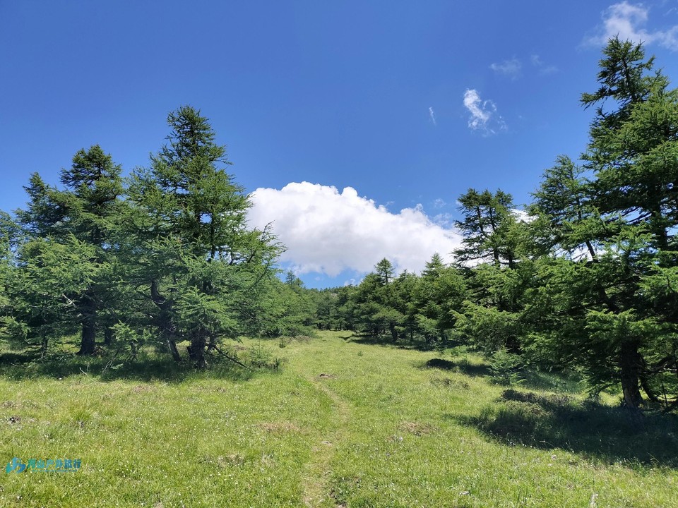 mmexport1711122484681