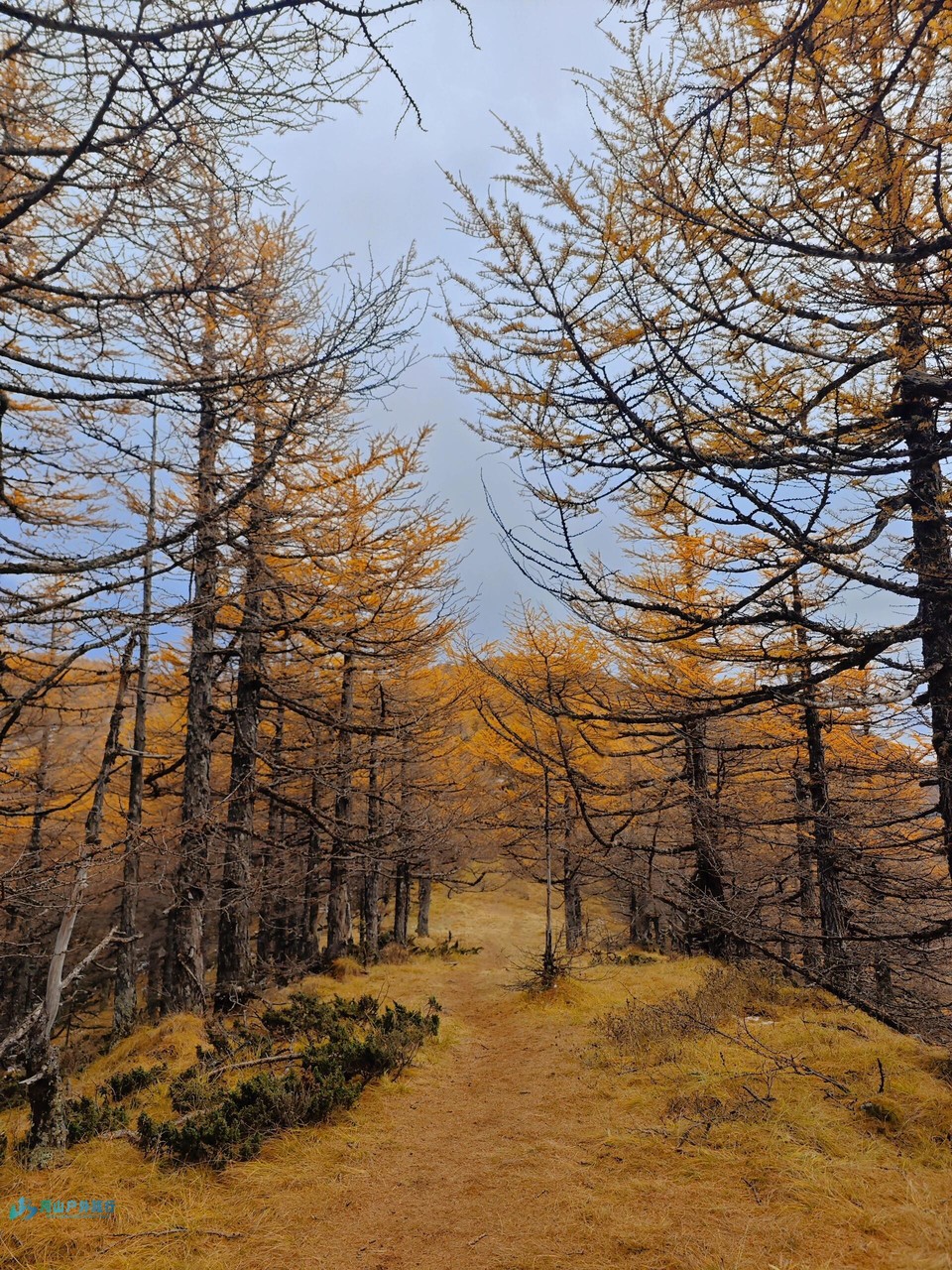 mmexport1711122502674