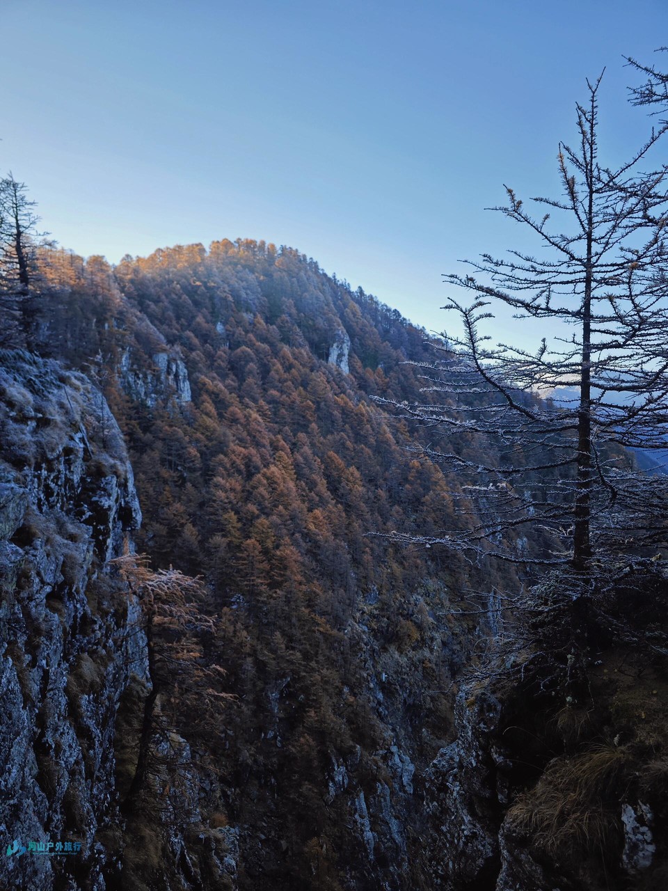 mmexport1711122513650