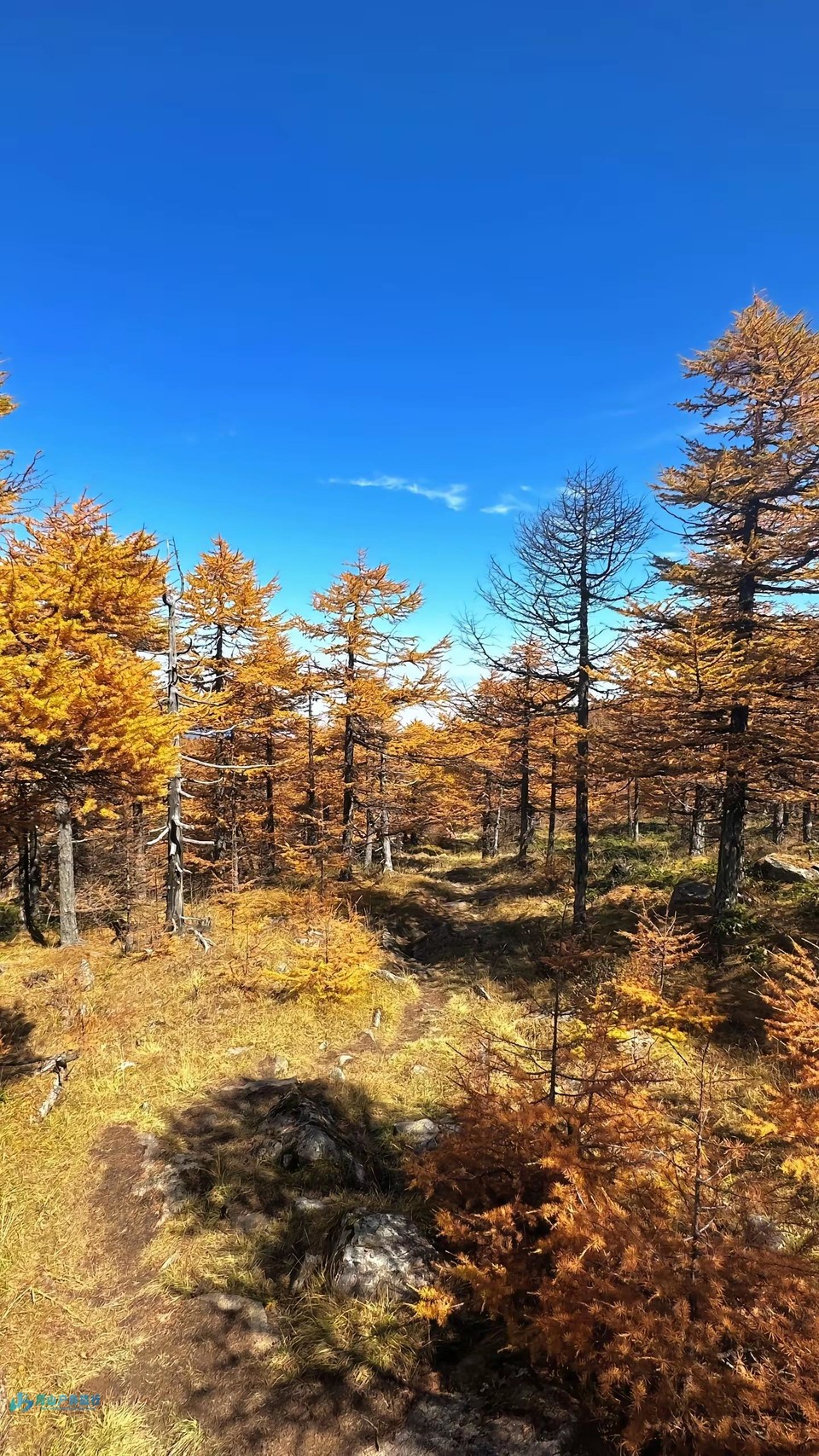 mmexport1725266671748