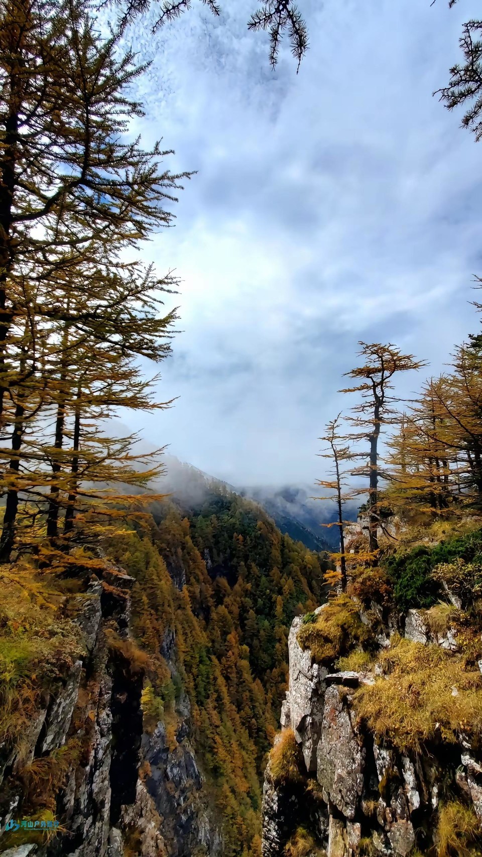 mmexport1725266678553