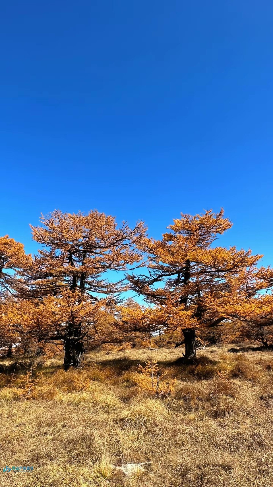 mmexport1725266688327