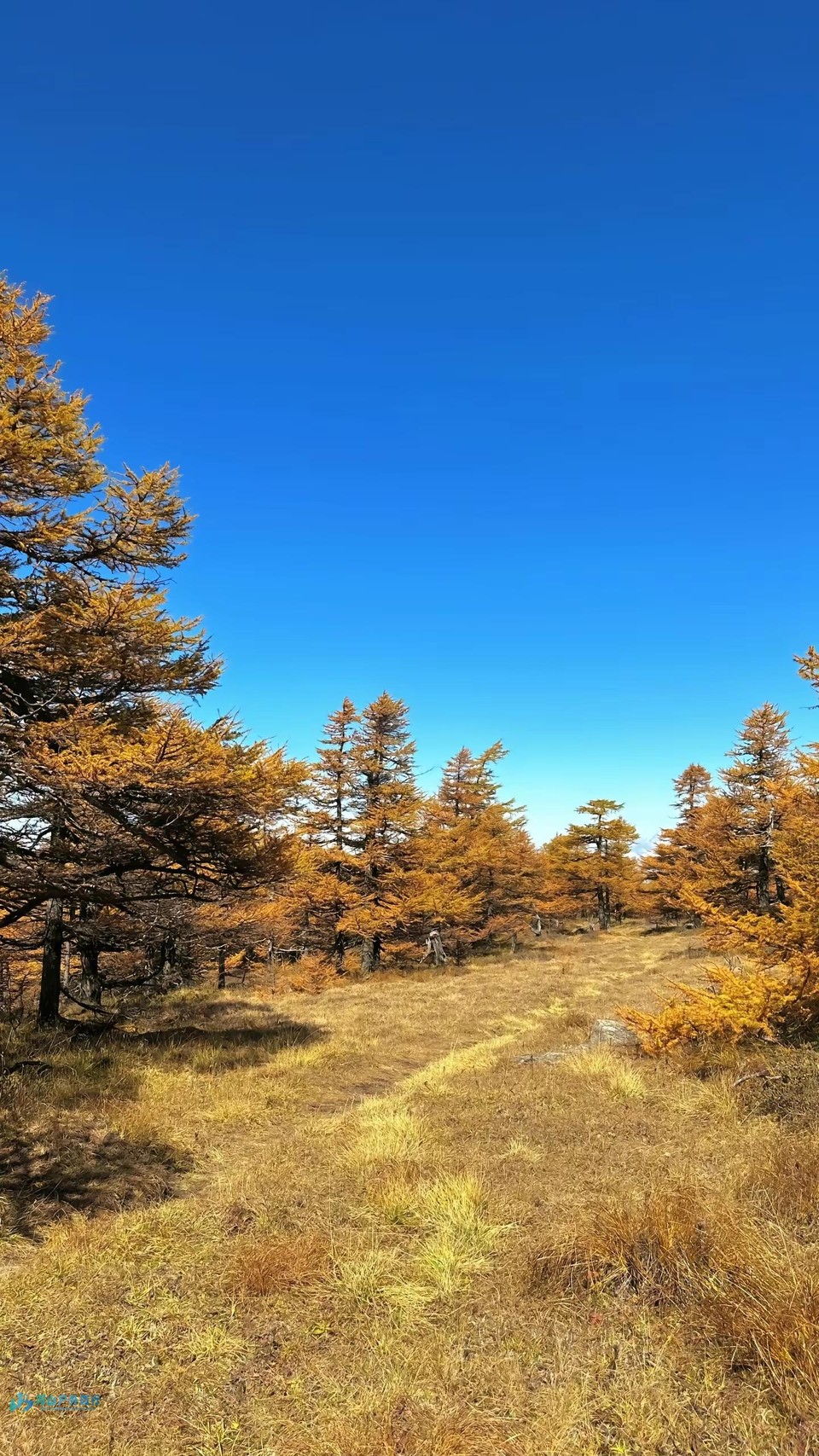 mmexport1725266691428