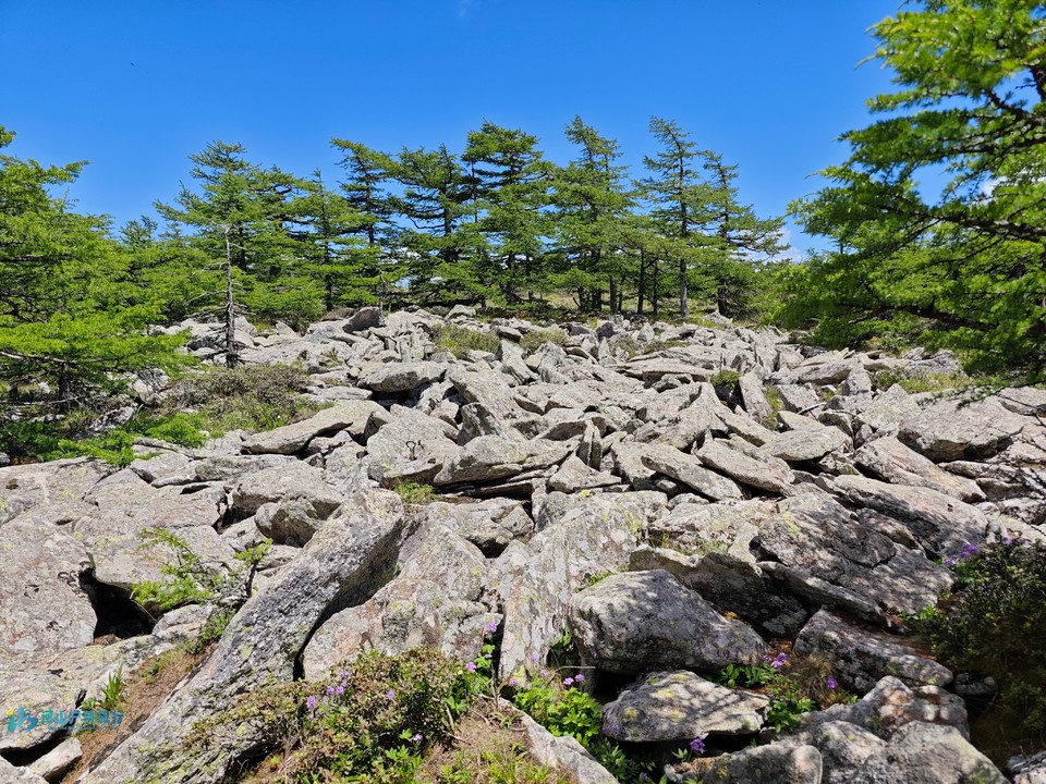 mmexport1728831446538