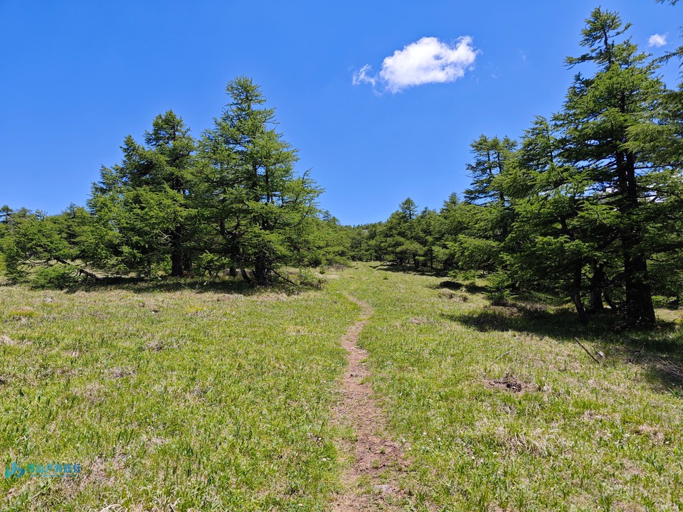 mmexport1728831452359