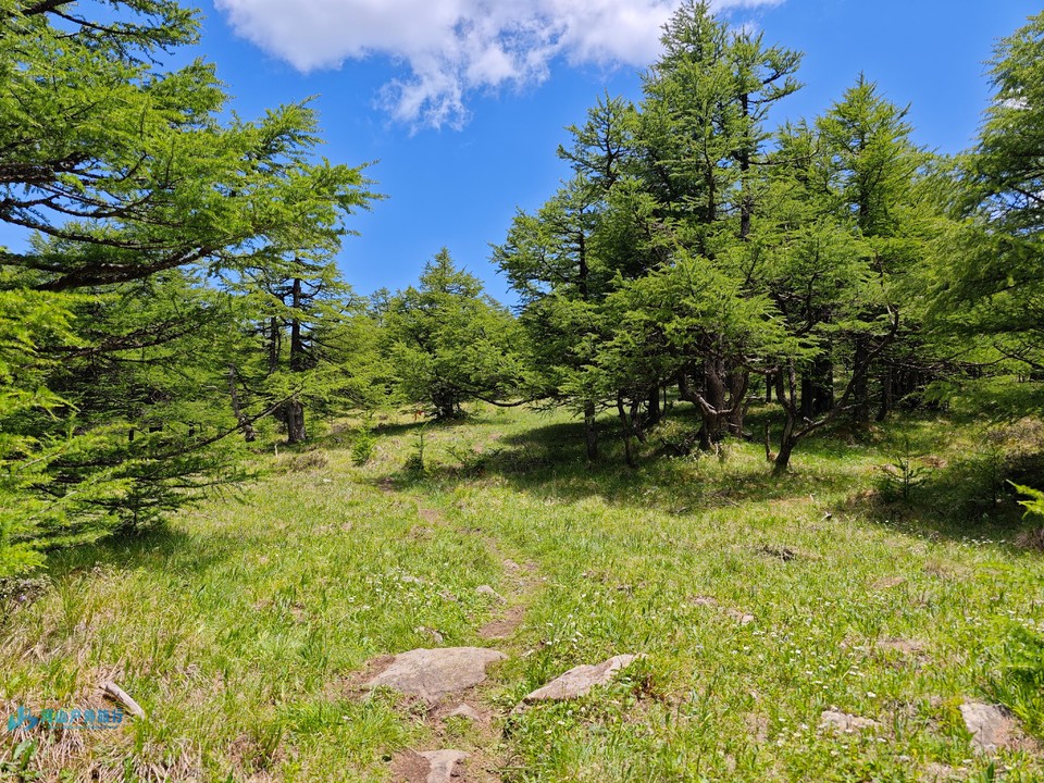 mmexport1728831457488