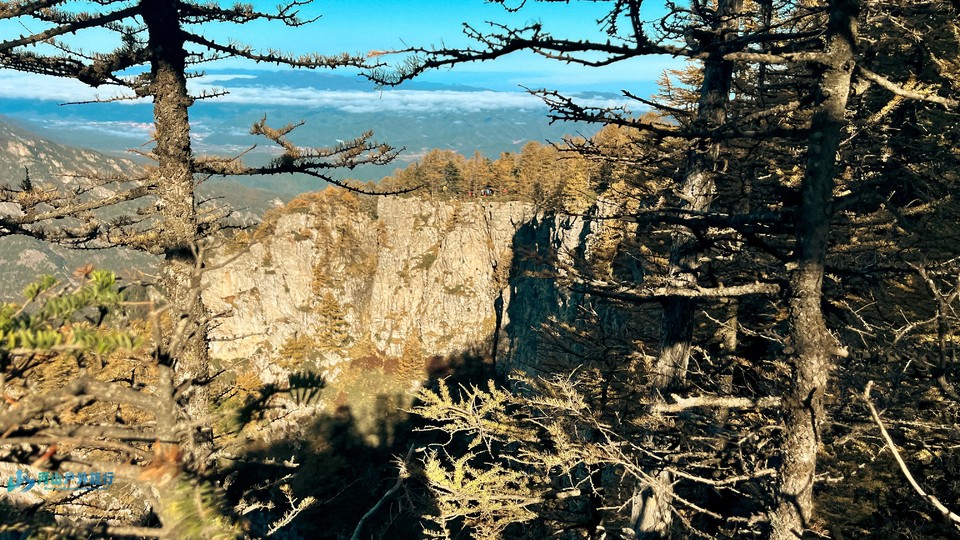 mmexport1728908892538