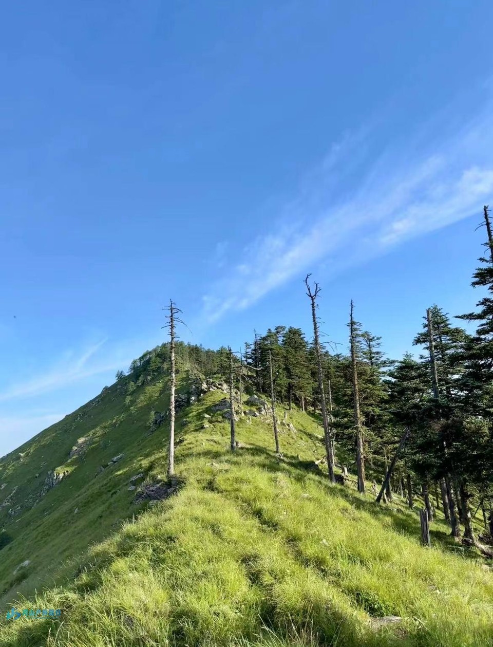 mmexport1718606559843