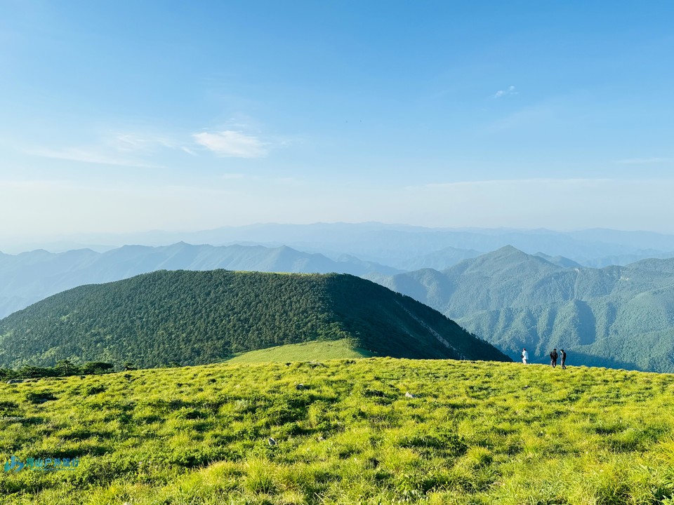 mmexport1718470275082