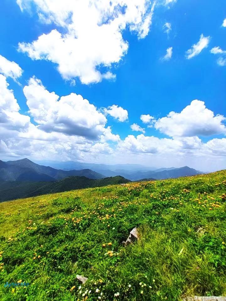 mmexport1720281547475