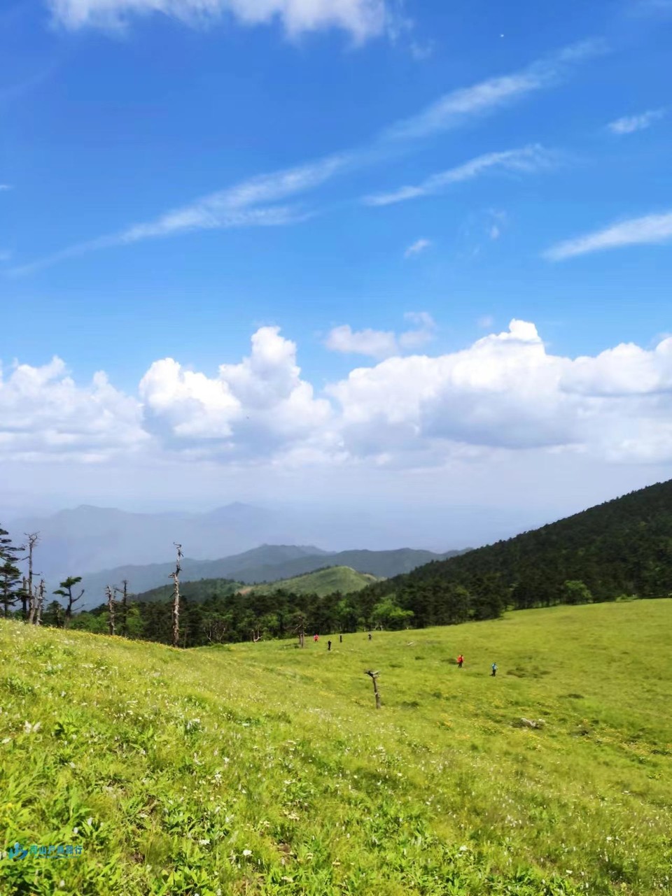 mmexport1720281560415