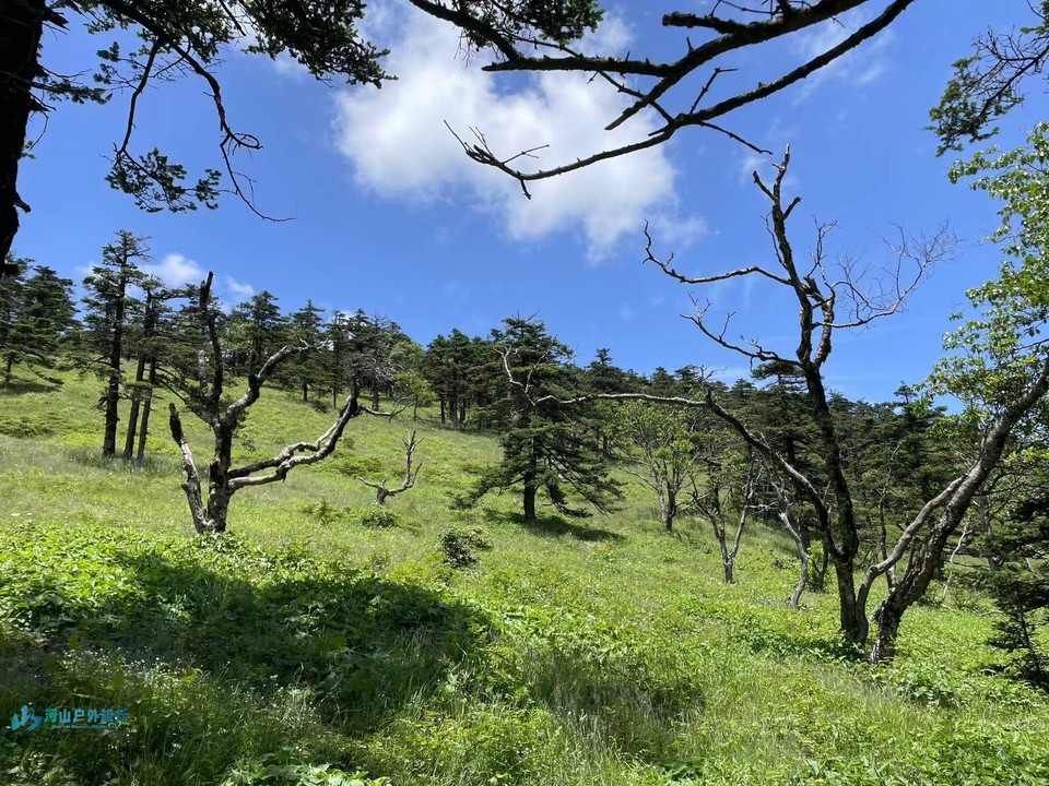 mmexport1720281586585