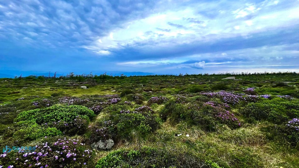 mmexport1718248078479