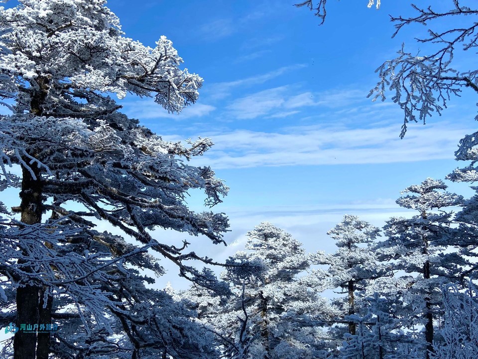 微信图片_20240323005025