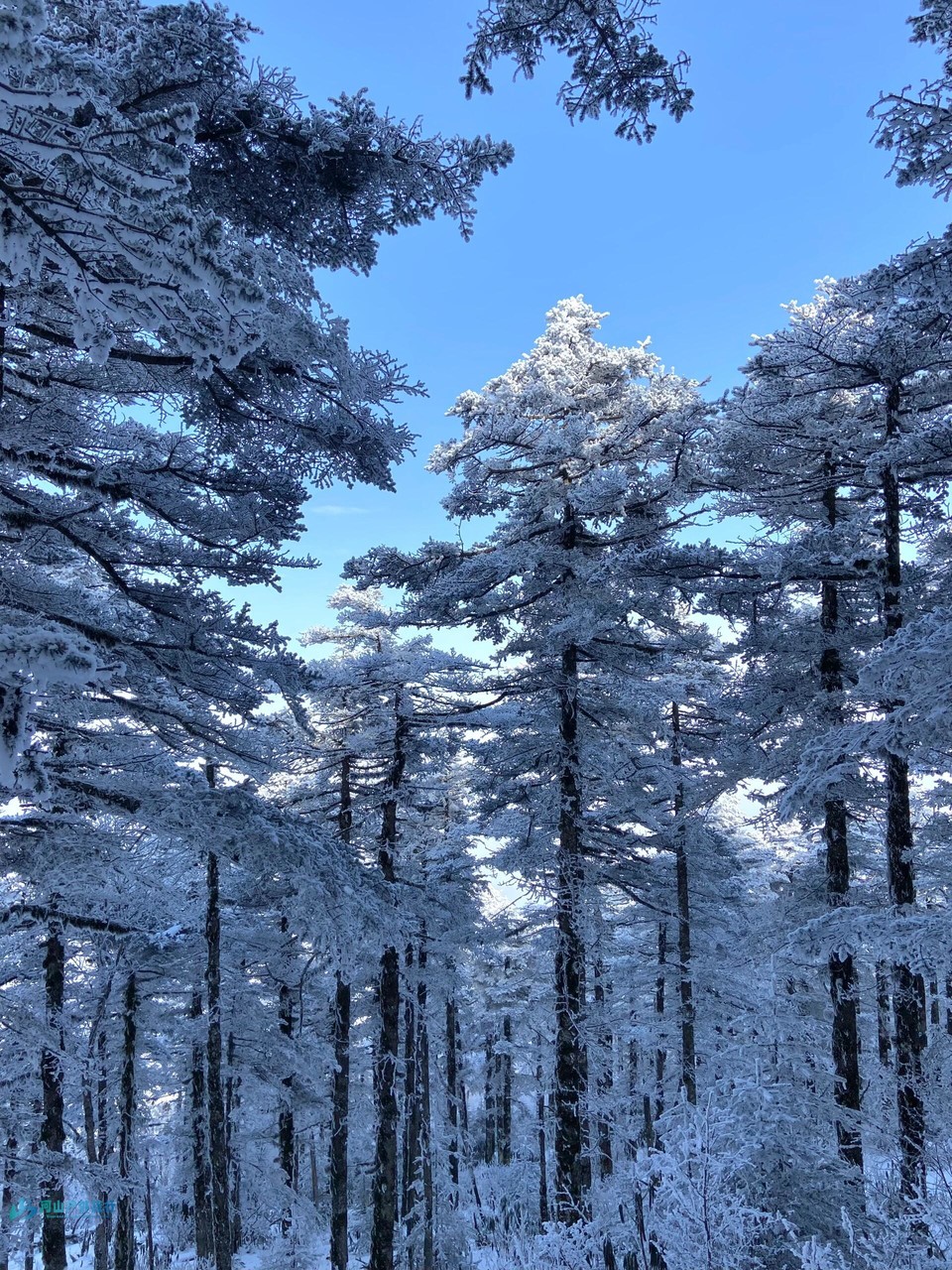 微信图片_20240323005034