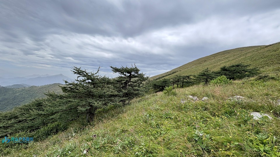 mmexport1723610274134