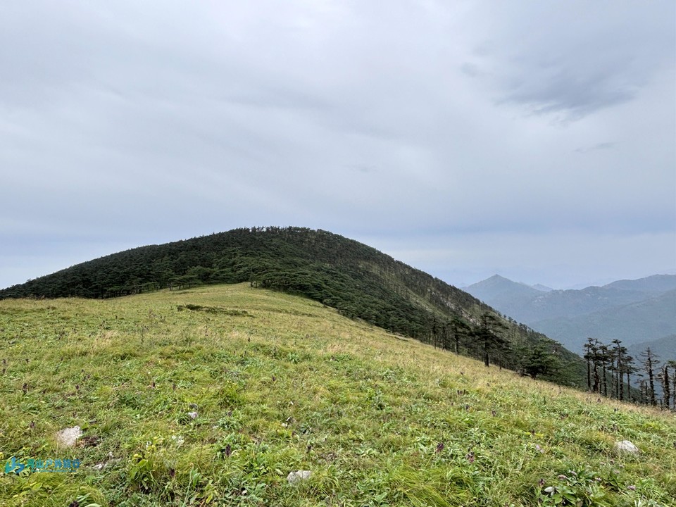 mmexport1723610282411